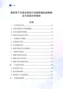 新形勢下水泵水輪機行業(yè)順勢崛起戰(zhàn)略制定與實施分析報告