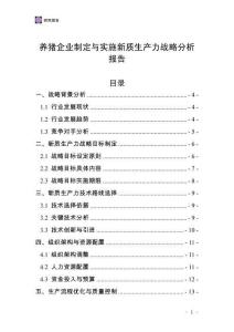 養(yǎng)豬企業(yè)制定與實(shí)施新質(zhì)生產(chǎn)力戰(zhàn)略分析報(bào)告