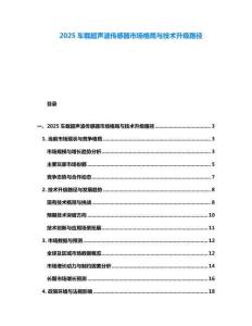 2025車(chē)載超聲波傳感器市場(chǎng)格局與技術(shù)升級(jí)路徑