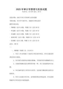 2025年审计学原理与实务试题