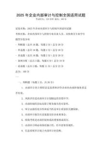 2025年企業(yè)內部審計與控制全國適用試題