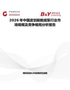 2026年中國皮劃艇艙底泵行業(yè)市場規(guī)模及競爭格局分析報告