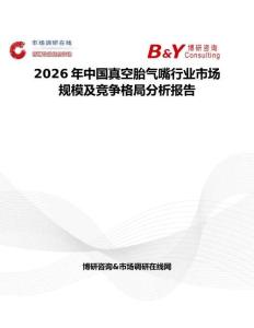 2026年中國真空胎氣嘴行業(yè)市場規(guī)模及競爭格局分析報告