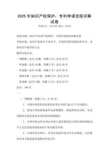 2025年知識產(chǎn)權(quán)保護：專利申請流程詳解試卷