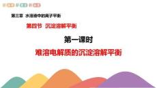 難溶電解質(zhì)的沉淀溶解平衡 終稿
