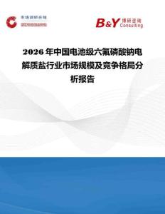 2026年中國電池級六氟磷酸鈉電解質鹽行業市場規模及競爭格局分析報告