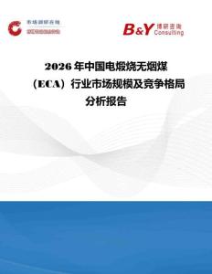 2026年中國(guó)電煅燒無(wú)煙煤（ECA）行業(yè)市場(chǎng)規(guī)模及競(jìng)爭(zhēng)格局分析報(bào)告
