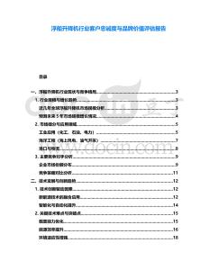 浮船升降機(jī)行業(yè)客戶(hù)忠誠(chéng)度與品牌價(jià)值評(píng)估報(bào)告