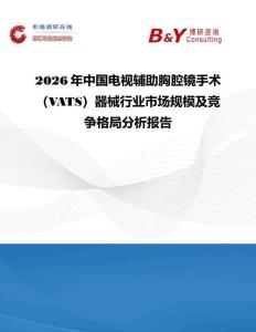 2026年中國電視輔助胸腔鏡手術（VATS）器械行業市場規模及競爭格局分析報告