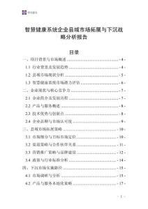 智慧健康系統企業縣域市場拓展與下沉戰略分析報告