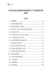 軟木磚企業縣域市場拓展與下沉戰略分析報告