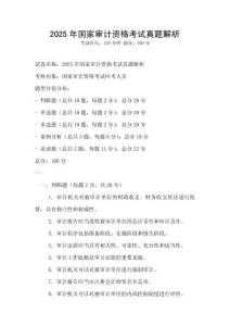 2025年國家審計資格考試真題解析