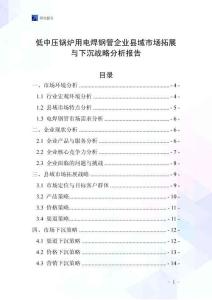 低中压锅炉用电焊钢管企业县域市场拓展与下沉战略分析报告
