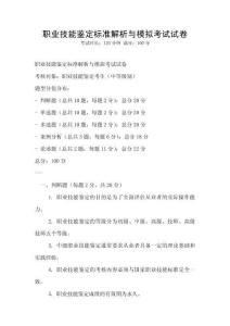 職業技能鑒定標準解析與模擬考試試卷