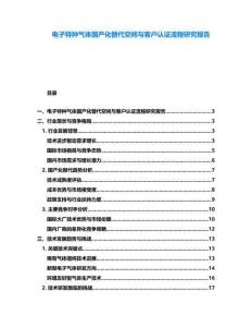 电子特种气体国产化替代空间与客户认证流程研究报告