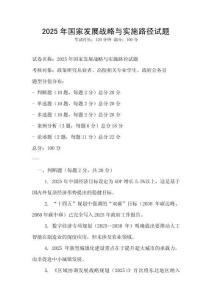 2025年國(guó)家發(fā)展戰(zhàn)略與實(shí)施路徑試題