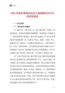 2025年脉石英提纯及加工超细粉项目可行性研究报告