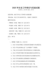 2025年社會工作理論與實踐試題