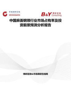 中國麻面鋼領行業市場占有率及投資前景預測分析報告