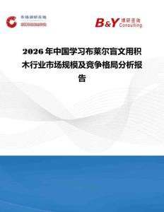 2026年中國(guó)學(xué)習(xí)布萊爾盲文用積木行業(yè)市場(chǎng)規(guī)模及競(jìng)爭(zhēng)格局分析報(bào)告