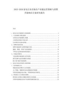 2025-2030家電行業(yè)市場(chǎng)全產(chǎn)業(yè)鏈運(yùn)營策略與消費(fèi)升級(jí)響應(yīng)方案研究報(bào)告