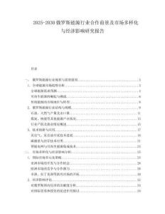 2025-2030俄羅斯能源行業(yè)合作前景及市場多樣化與經(jīng)濟影響研究報告