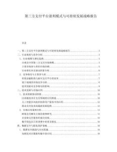第三方支付平臺盈利模式與可持續(xù)發(fā)展戰(zhàn)略報告