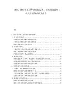 2025-2030核工業(yè)行業(yè)市場發(fā)展分析及發(fā)展趨勢與投資管理策略研究報告