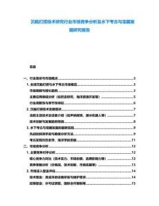 沉船打撈技術研究行業市場競爭分析及水下考古與寶藏發掘研究報告
