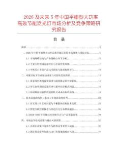 2026及未來5年中國平柵型大功率高效節(jié)能泛光燈市場分析及競爭策略研究報告