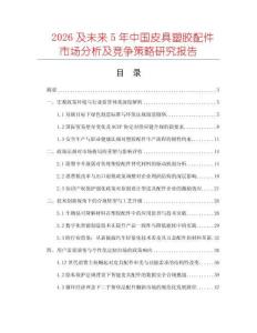 2026及未來5年中國皮具塑膠配件市場分析及競爭策略研究報(bào)告
