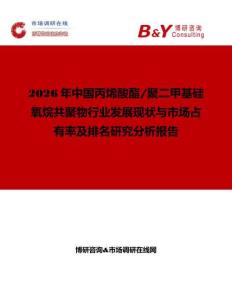2026年中國丙烯酸酯 聚二甲基硅氧烷共聚物行業發展現狀與市場占有率及排名研究分析報告