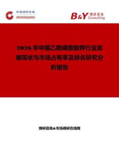 2026年中国乙酰磺胺酸钾行业发展现状与市场占有率及排名研究分析报告