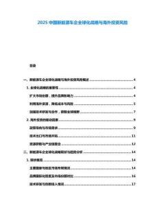2025中国新能源车企全球化战略与海外投资风险