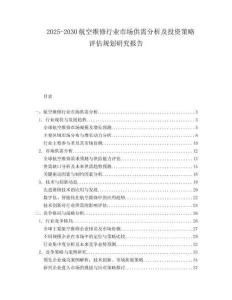 2025-2030航空維修行業市場供需分析及投資策略評估規劃研究報告