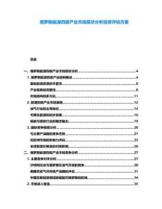 俄羅斯能源四級(jí)產(chǎn)業(yè)市場(chǎng)現(xiàn)狀分析投資評(píng)估方案