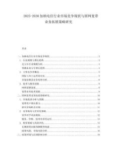 2025-2030加納電信行業(yè)市場競爭現(xiàn)狀與固網(wǎng)寬帶業(yè)務(wù)拓展策略研究