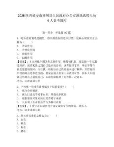 2026陜西延安市延川縣人民政府辦公室遴選選聘人員6人備考題庫含答案詳解（基礎題）