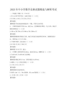 2025年中小學(xué)數(shù)學(xué)競賽試題精選與解析考試