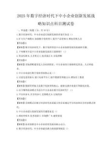 2025年數字經濟時代下中小企業創新發展戰略知識點科目測試卷