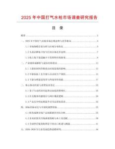 2025年中國打氣水槍市場調查研究報告