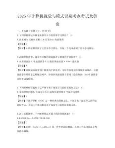 2025年計算機視覺與模式識別考點考試及答案