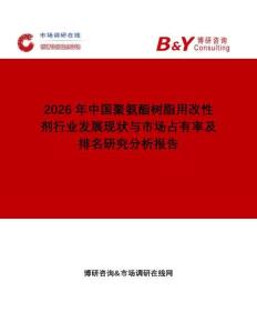 2026年中国聚氨酯树脂用改性剂行业发展现状与市场占有率及排名研究分析报告