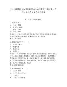 2025四川樂山沐川縣融媒體中心招募高校畢業生（青年）見習人員1人參考題庫及答案詳解（全國通用）