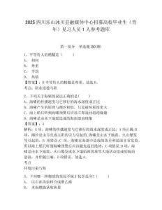 2025四川樂山沐川縣融媒體中心招募高校畢業生（青年）見習人員1人參考題庫及答案詳解（網校專用）