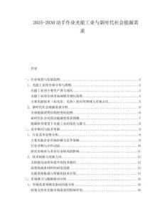 2025-2030動手作業光能工業與新時代社會能源需求