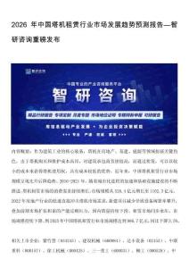 2026年中國塔機租賃行業市場發展趨勢預測報告—智研咨詢重磅發布