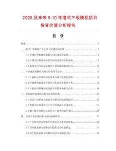 2026及未來(lái)5-10年港式三級(jí)橫機(jī)項(xiàng)目投資價(jià)值分析報(bào)告