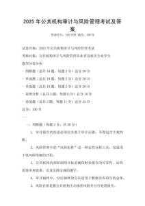 2025年公共機構審計與風險管理考試及答案