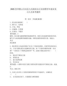 2025貴州紫云自治縣人民政府辦公室招聘青年就業(yè)見習(xí)人員參考題庫(kù)附答案詳解（預(yù)熱題）